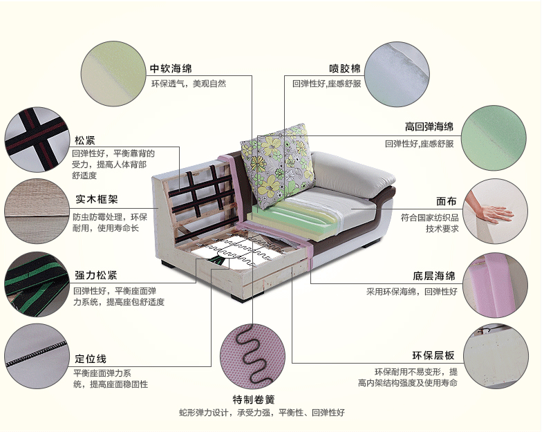 蘑菇免费视频海绵知识
